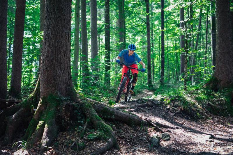 Ferienwohnungen Schantl Schoppernau Bagian luar foto