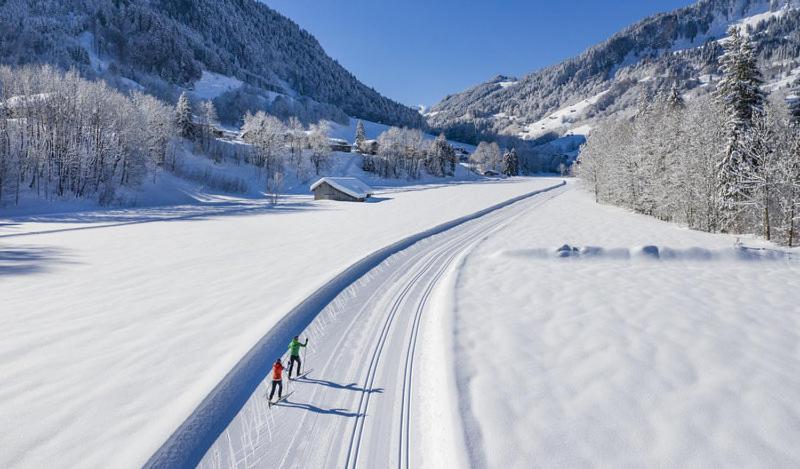 Ferienwohnungen Schantl Schoppernau Bagian luar foto