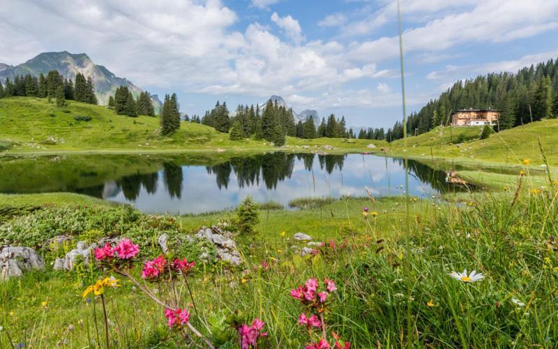 Ferienwohnungen Schantl Schoppernau Bagian luar foto